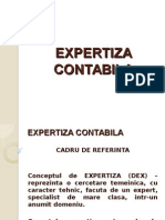 Expertiza Contabila probleme- Notiuni Acces 2012 p1