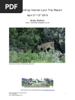 Download Spain BirdingIberian Lynx Trip Report by AWBirder SN273923900 doc pdf