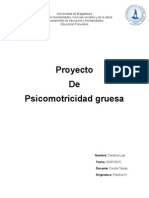 proyecto de psicomotricidad.doc