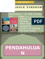 Dengue Shock Syndrome: Pembimbing: Dr. SML Toruan