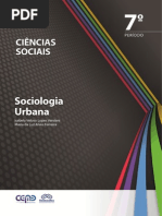 A Sociologia Das Cidades
