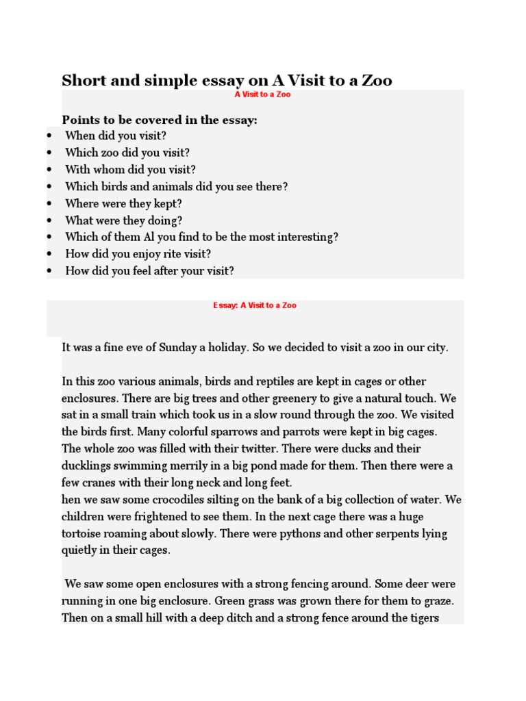 how to write a good scholarship essay zoo