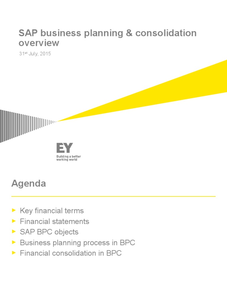 SAP Business Planning and Consolidation Overview | PDF | Debits And ...