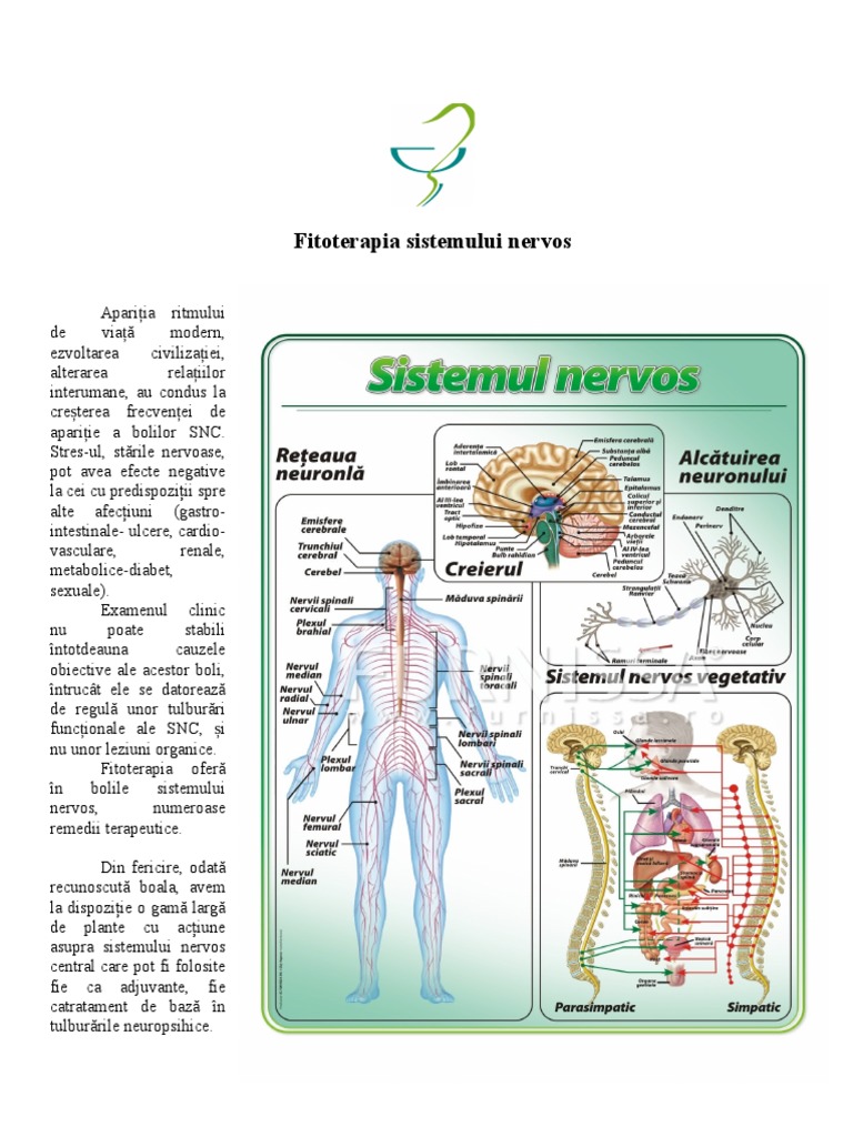 Fitoterapia SNC-tiparit | PDF