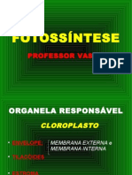 Fotossntesepowerpoint