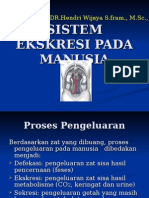 Sistem Ekskresi Pada Manusia