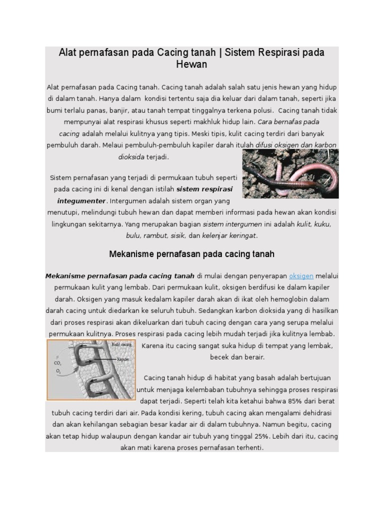 Alat Pernafasan Pada Cacing Tanah PDF Alat Pernafasan Pada Cacing Tanah PDF