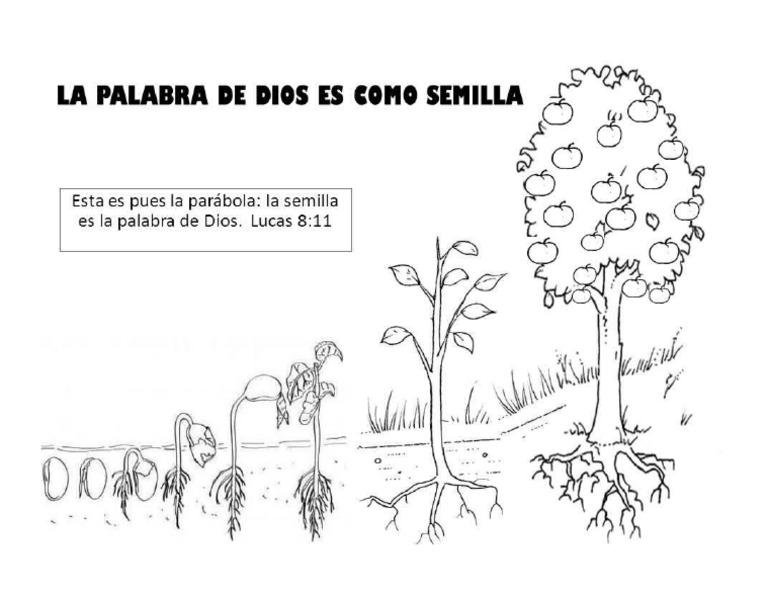 La Palabra de Dios Es Como Semilla - Manualidad para Clase Bíblica | PDF