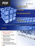 ADO NET Entity Framework