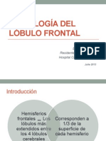 Semiología Del Lóbulo Frontal