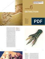 Extinction: Evolution: What Fossils Reveal About The History of Life by Niles Eldredge, Firefly Books 2014