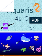Aquaris 4C 09-10