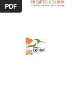 Projeto Colibri