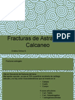 f Astragaloycalcaneo 130403154929 Phpapp01
