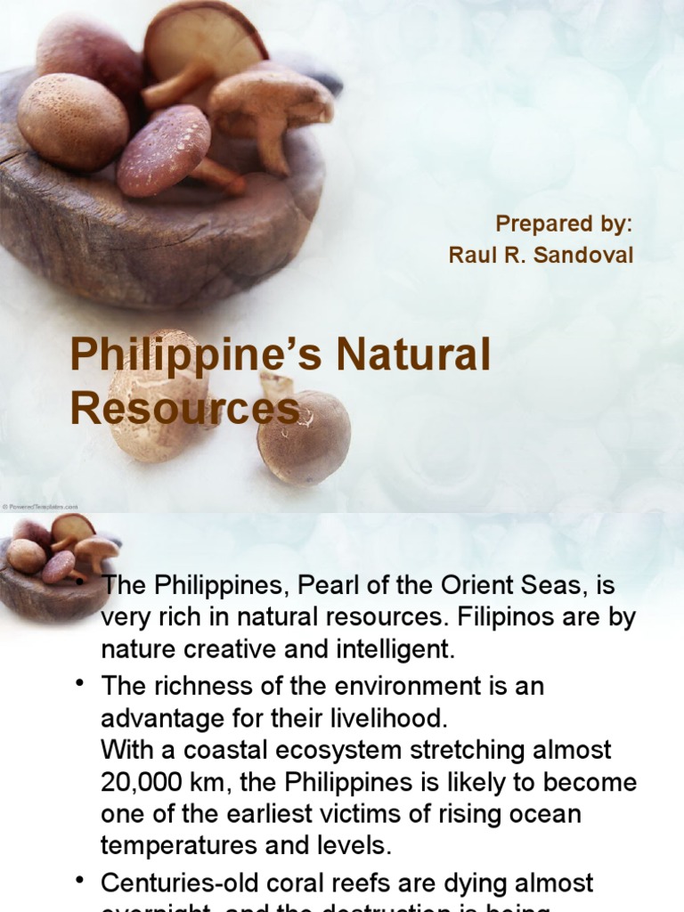 Philippine's Natural Resources Earth Sciences Physical Geography