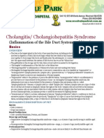 Cholangitis Cholangiohepatitis Syndrome