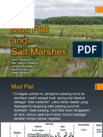 Mudflat Dan Salt Marsh