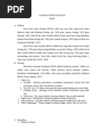 Download LP BBLR by MusLikah SN274064972 doc pdf