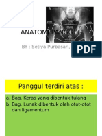 Anatomi Panggul