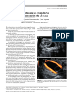 Ureter o Cele