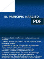 El Principio Narciso