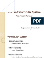 CSF and Ventricular System 