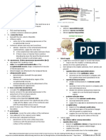 Scalp Gross Anatomy