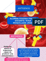 Antigeno Ultimo