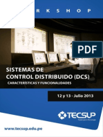 Workshop Dcs PDF