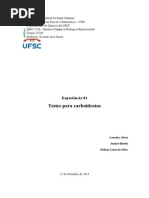 Relatorio 1 atualizado.docx