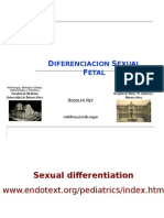 Diferenciacion Sexual