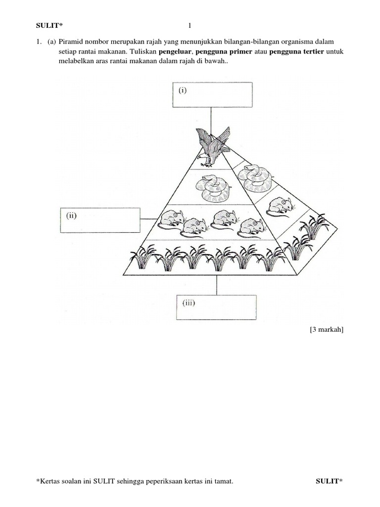 Contoh Soalan Sains Tahun 3 Kertas 2 - Klewer mm