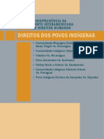 DDH 02 Povos Indigenas WEB