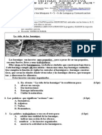 Prueba de Lenguaborrad