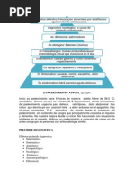 Piramide Diagnostica