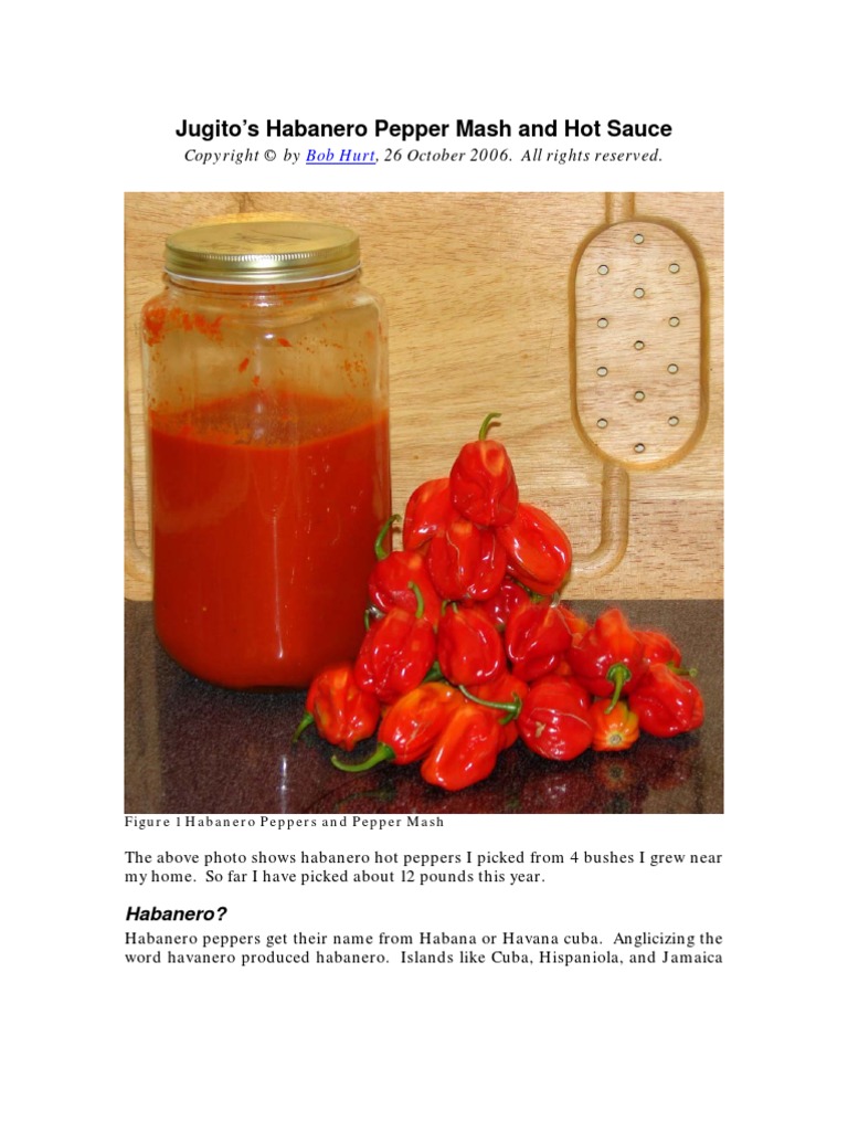 How to Make Habanero Pepper Mash and Hot Sauce Hot Sauce Foods