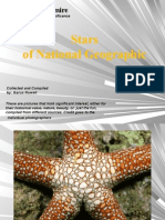 Pictures To Admire - Stars of Natioanl Geographic