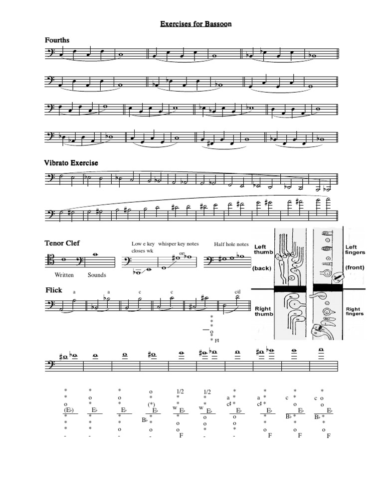 Bassoon Scales Extended Organologie élémentaire Production musicale