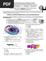 Prueba Quinto Bioquimfis I