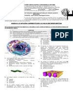 Prueba Quinto Bioquimfis I