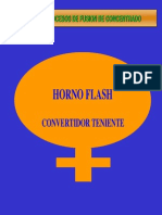 Horno Flash y CT