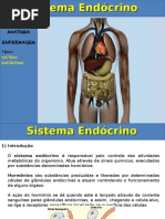 Aula Sistema Endocrino