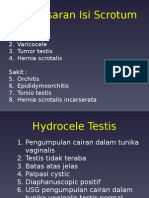 Pembesaran Isi Scrotum - DR Rochani