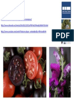 Noticia Tomates Azules