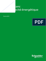 Livre Blanc Efficacite Energetique Fevrier 2011.PdfN