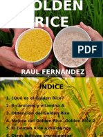 Golden Rice - Essay