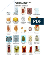 Helmintos e protozoários intestinais