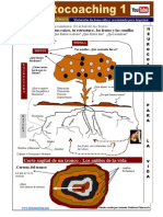 El Arbol de Los Frutos 01