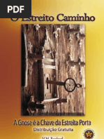 O Estreito Caminho - V.M. Raphael