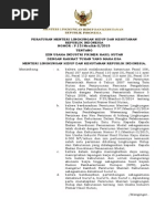 Download Permen LHK P13 2015 Ijin Usaha Industri Primer Hasil Hutan by Nur Rokhman SN274259961 doc pdf